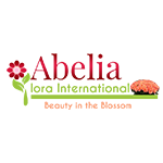 Geekemoli Client Logos Abelia